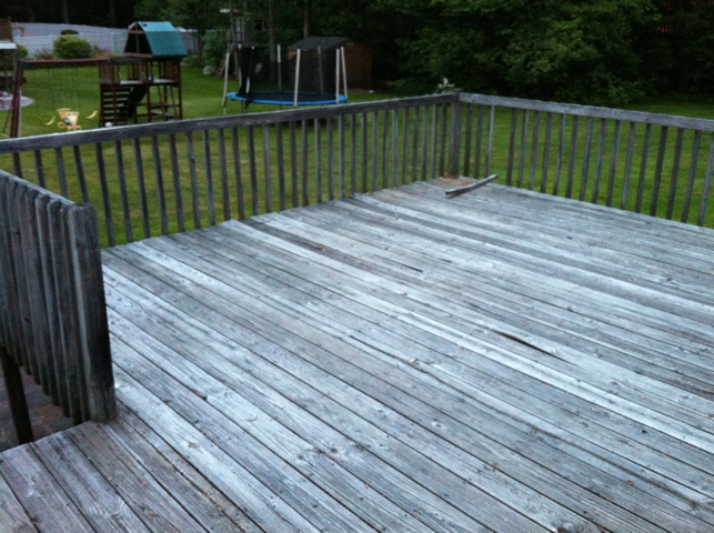 20110610-063542.jpg