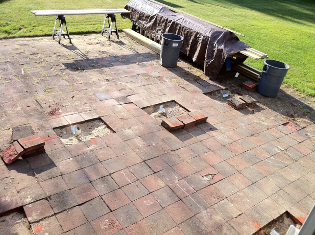 20110610-063554.jpg