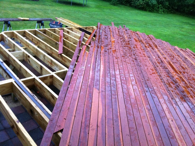 20110610-063624.jpg