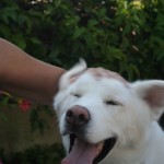 IMG_2458